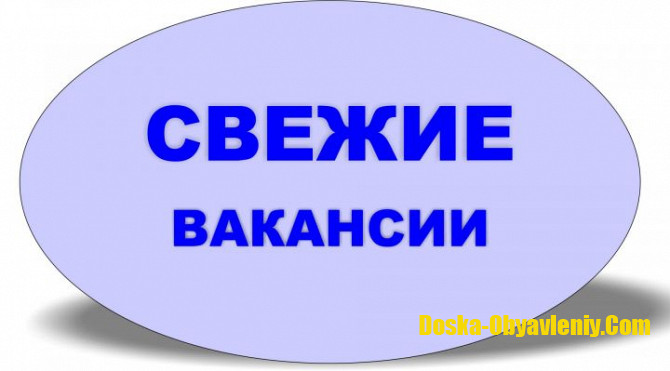 Другие сферы занятий Новосибирск - изображение 1