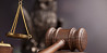 Помощь юриста в решении споров по государственным и негосударственным контрактам в Санкт-Петербурге Санкт-Петербург